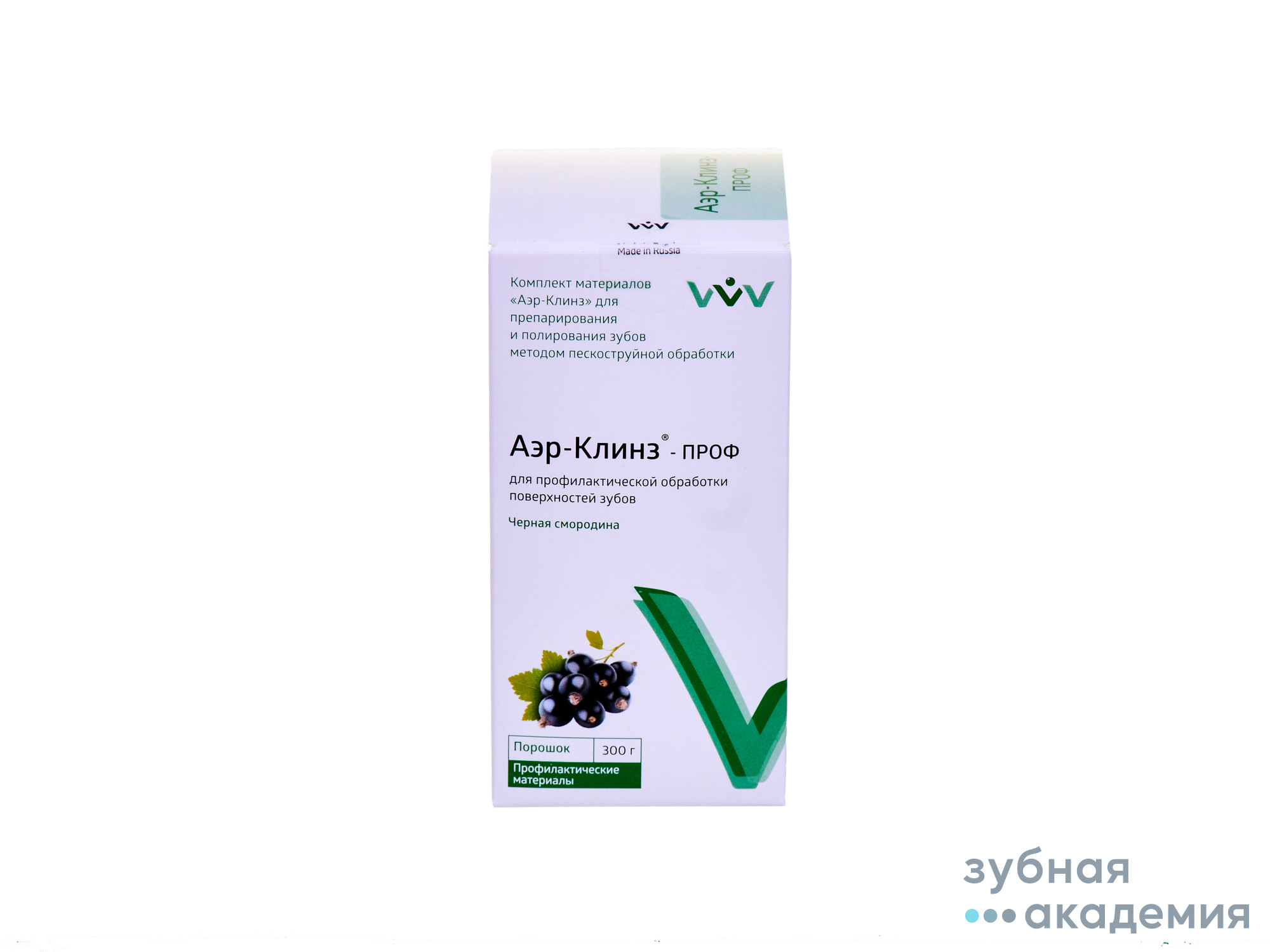 АЭР-КЛИНЗ ПРОФ/Черная смородина/300 г ВладМиВа Россия